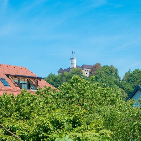 Arto Castle View Apartment Laibach Exterior foto