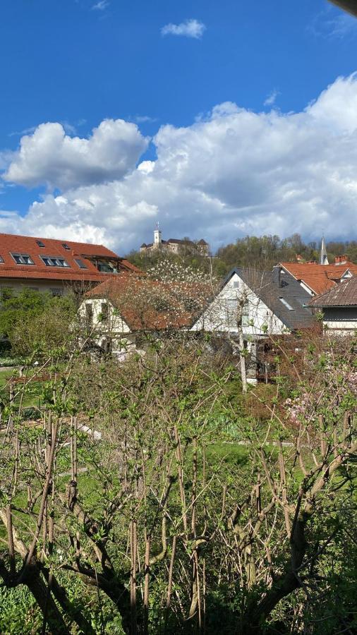 Arto Castle View Apartment Laibach Exterior foto
